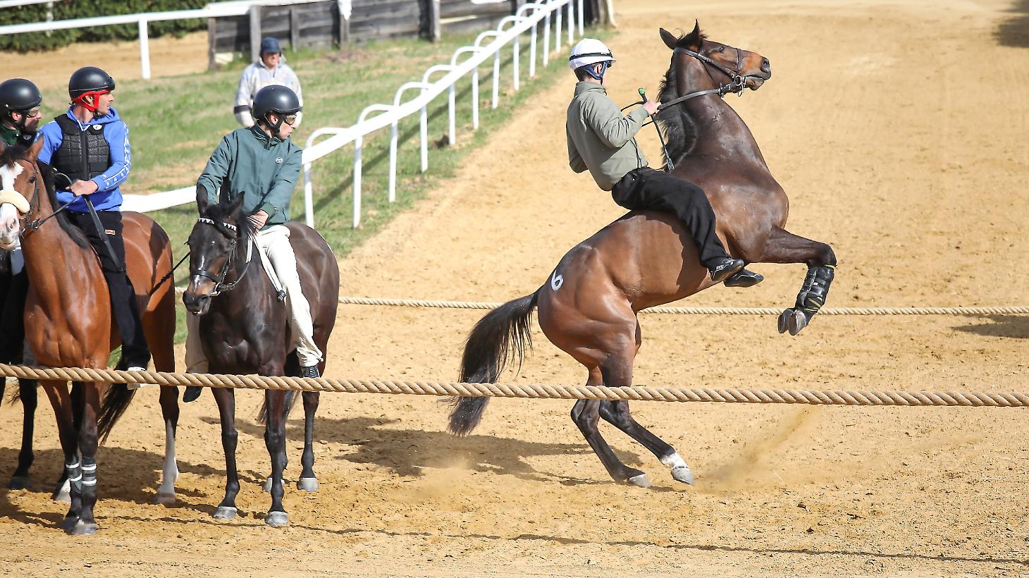 Il ruggito di Mociano Bene Comancio e Flick Chiosa Vince &egrave; brillante