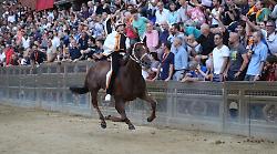 Palio di Siena, la vittoria da record di Velluto: è stato il fantino a trionfare dopo l'attesa più lunga