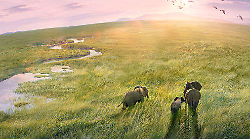 Planet Earth III stasera in tv mercoledì 4 settembre su Rete 4: le anticipazioni sulla serie evento di Bbc