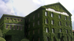 Lavoro, Citterio apre in provincia di Arezzo e assume. 16 milioni di euro di investimenti per produrre prosciutto toscano