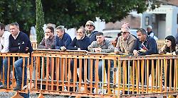 Brigante e Velluto vincono anche la rassegna dei puledri