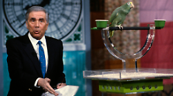 Il caso Tortora e il massacro di Ponticelli: errori giudiziari o verità? Il servizio di giovedì 31 ottobre de Le Iene