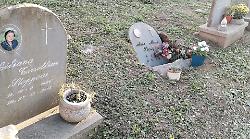 Cimitero del Laterino, tombe franate e quadrilatero dei garibaldini in pessime condizioni