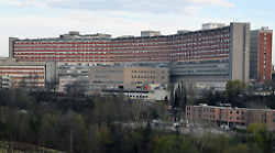 Prorogata per un anno la convenzione tra Scotte e Inca Cgil: consulenze medico-legali e formazione per gli specializzandi
