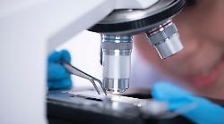 Salmonellosi, 63 casi in alcune scuole dell'Umbria: sotto accusa il farro con pomodorini e pesto