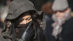 Gelo d’aprile, l’agricoltura trema. L’imprenditore Chiarion: “Manca il vero inverno e questi sbalzi mettono in difficoltà le piante”