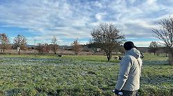Campo da baseball a Siena: incontro decisivo a Isola d'Arbia