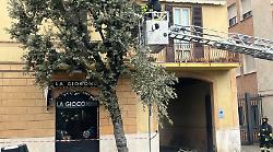 Tir contro albero, immediato intervento - FOTO