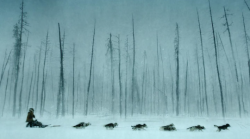 Togo. Una grande amicizia stasera in tv mercoled&igrave; 1&deg; gennaio su Rai 1: le anticipazioni del film ambientato nel Nord America