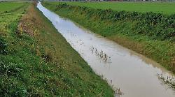 Monitoraggio del Consorzio di Bonifica sui fiumi senesi