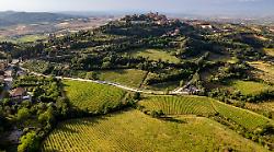 Vino e sostenibilità, il Consorzio del vino Nobile in campo