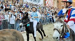 Sono i giorni del palio dei somari, domenica la corsa