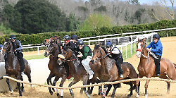 Protocollo addestramento cavalli, ecco le date dei lavori e delle visite per l'albo