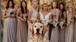 Tutte le tendenze matrimonio  per il 2025: la moda sposa,  i colori e le decorazioni pi&ugrave; popolari e le nuove figure professionali