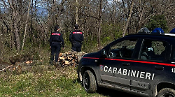 Piatti tradizionali ma era spaccio di droga: anche Siena coinvolta nell'operazione