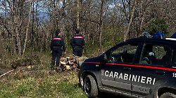 Blitz dei carabinieri forestali: un altro colpo allo spaccio nel territorio