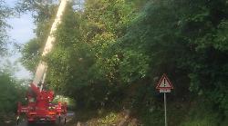 Siena, albero pericolante in Strada degli Agostoli: la via viene chiusa fino a domani mattina