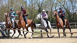 Palio di Siena, tornano le corse di addestramento a Monticiano: oggi in pista c'è Remorex