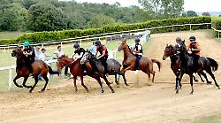 Palio di Siena, ci sono Zio Frac e Benitos: oggi i big in pista a Mociano