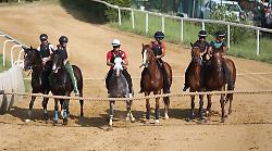 Palio di Siena, a Mociano bel galoppo di Benitos. Il veterinario Minniti: "Ci sono cavalli di qualità"