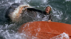 Stasera in tv "Lo Squalo", il cult compie 50 anni. Una produzione tormentata e retroscena incredibili: quando Spielberg non si presentò sul set per paura.. dell'acqua