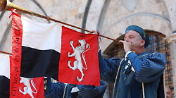 Palio di Siena, i capitani hanno scelto i dieci cavalli che correranno la Carriera di agosto: presenti i big, due gli esordienti. La lista