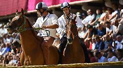 Palio di Siena, le previsioni della vigilia sono state rispettate nelle scelte dei capitani: sì a Zio Frac e Tale e Quale, niente da fare per Anda e Bola