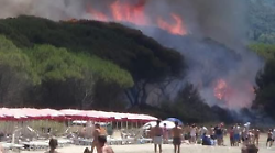 Maxi incendio, brucia la pineta: bagnanti in fuga, le fiamme minacciano stabilimenti e villaggi turistici. Scatta l'emergenza regionale