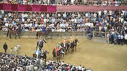 Palio di Siena, ecco l’ordine ai canapi delle contrade per le prove