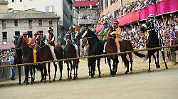 Palio di Siena, ecco cos'è successo nella prima prova: l'impennata di Tale e Quale, l'ottimo spunto del Drago