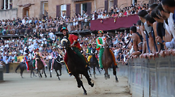 Palio di Siena, le voci dei capitani: commenti e impressioni sulle accoppiate cavallo-fantino