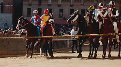 Palio di Siena, calci e nervosismo tra i canapi: difficolt&agrave; per alcuni cavalli