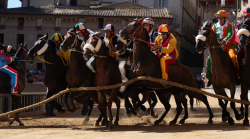 Palio di Siena, gli orari di oggi: nuove emozioni in contrada, è il giorno della prova generale.
