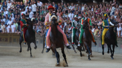 Palio di Siena, è il grande giorno. Gli orari di provaccia e Carriera