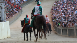 Palio di Siena, con le quattro verdi sul tufo una contrada ha vinto più Carriere. I precedenti e le curiosità