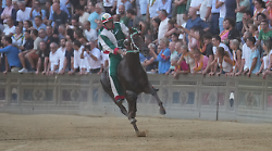 Palio di Siena, Tittia punta al 12esimo trionfo: quanti fantini prima di lui hanno già raggiunto il record