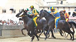 Palio di Siena, ecco cosa hanno detto le prove. Tartuca e Chiocciola accoppiate di qualità, buoni spunti di Oca e Bruco, Lupa in crescita