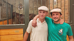 Palio di Siena, dietro il trionfo di Diodoro il grande lavoro della stalla dell'Oca: "Cavallo intelligente, una corsa strepitosa"