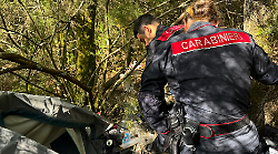 I carabinieri scoprono e smantellano una base logistica dello spaccio di droga nei boschi