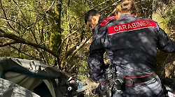 Blitz nei boschi, maxi operazione antidroga dei Carabinieri: due arresti e bivacchi smantellati. Ecco dove sono entrati in azione i Militari