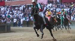 Palio di Siena, le pagelle dei dieci barberi: promossi, sorprese e rivedibili