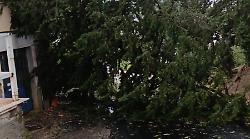 Bomba d'acqua a San Gimignano: allagamenti, alberi caduti e strade interrotte