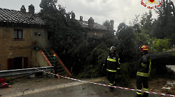 Ondata di maltempo, allerta e paura. Albero cade e si abbatte sul tetto di una casa: tre abitanti evacuati