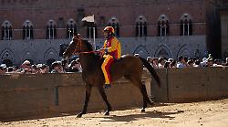 Palio di Siena, Tale e Quale va in pensione. Carboni: "E' stato un guerriero"