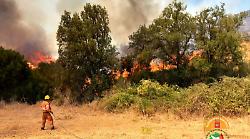 Non si ferma l'emergenza incendi:  le fiamme avvolgono il bosco e minacciano le case, ancora paura tra i residenti. La situazione