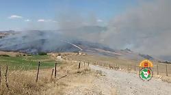 Vasto incendio divora il bosco sospinto dal vento: maxi intervento in corso per domare le fiamme