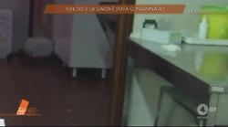 Delitto di Garlasco, il giallo della garza: Ignoto 3, a Quarto Grado nuove ombre sulla contaminazione del DNA. Le foto inedite della sala autoptica