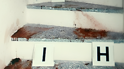 Delitto di Garlasco, le analisi del sangue riscrivono la dinamica? Il luogo del delitto sarebbe un altro, ecco cosa filtra. E spunta anche un'impronta misteriosa. De Rensis: "Siamo solo all'inizio"