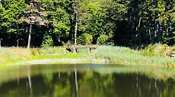 Arrivano 600 mila euro per il Laghetto Verde