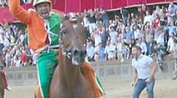 Palio di Siena. Addio a Caro Amico, il barbero che ha scritto una pagina di storia